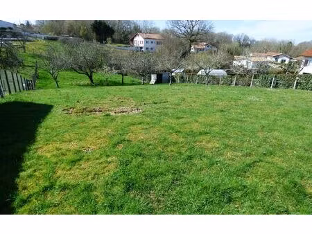 terrain urcuit m² t- à vendre  169 000 €