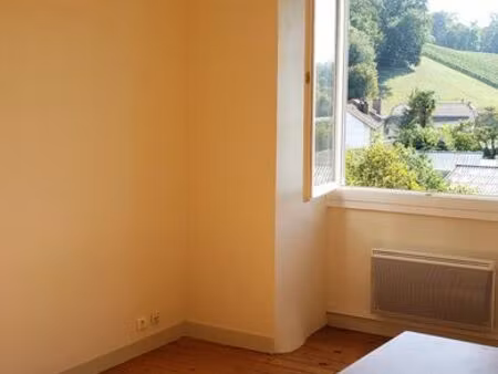 t2 lumineux 36m2 vue pyrénées