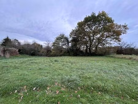 vente terrain à chaumes-en-retz (44320) : à vendre / 1137m² chaumes-en-retz