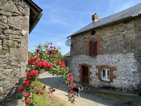 du potentiel pour cette propriété en pierre avec nombreuses dépendances