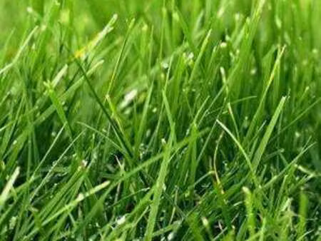 vente terrain à noyal (22400) : à vendre / 761m² noyal