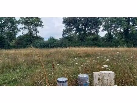 vente terrain à pornichet (44380) : à vendre / pornichet