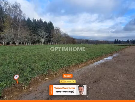 terrain à vendre de 881 00 m² le palais sur vienne (87)