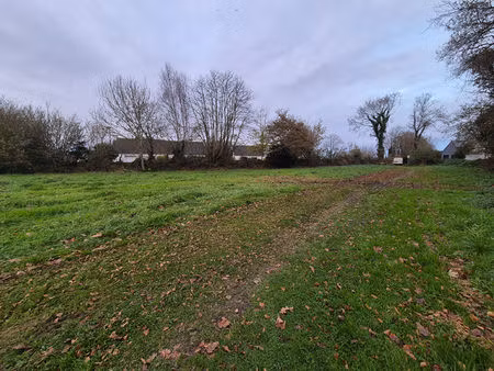 terrain constructible langolen 2946 m²