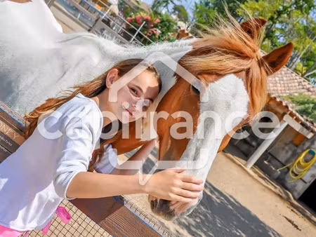 bouches-du-rhône (13) saintes maries de la mer (13460) à vendre fonds de commerce de prome