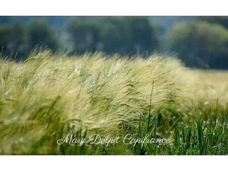 propriété de loisirs à vendre