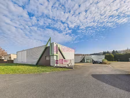 locaux saint-avold - parc d'activité - à vendre - zone industrielle du gros hêtre