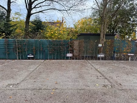 garage te koop in olsene