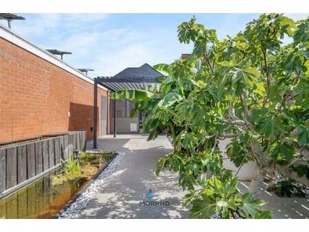 huis te koop in veldegem