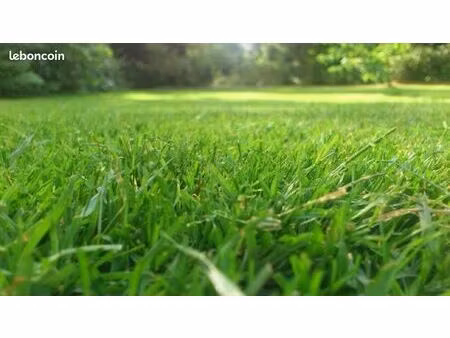 terrain - quartier résidentiel