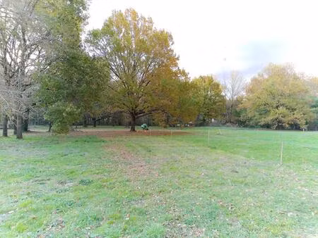 exceptionnel terrain constructible à vendre