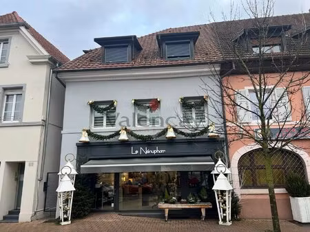 habsheim immeuble de rapport hyper centre 290 m²