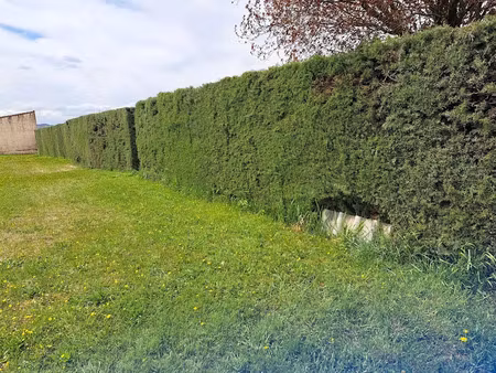 vente maison neuve 116 m² à dauphin (04300)  365 000 €