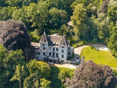 surface commerciale à vendre à dinant (vbd57693)