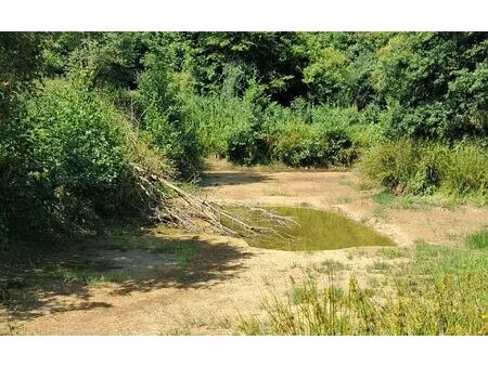 terrain châteaubriant m² t- à vendre  10 500 €