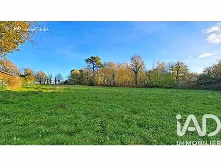 vente terrain à allaire (56350) : à vendre / 3000m² allaire