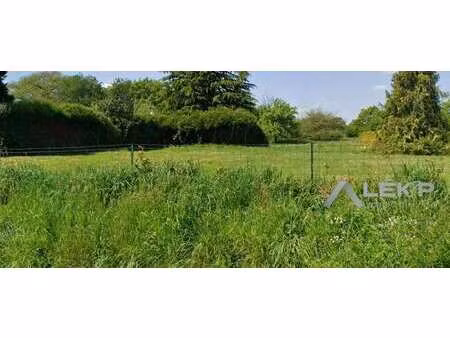 vente terrain à sainte-marie (35600) : à vendre / 5445m² sainte-marie