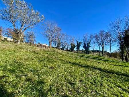 vente terrain 1325 m² cremeaux (42260)