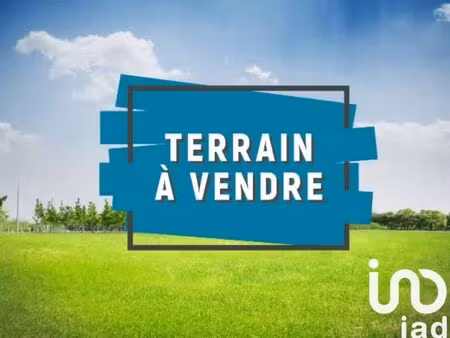 vente terrain 2920 m² maisons-en-champagne (51300)