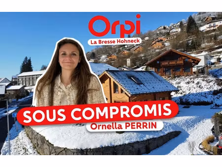 vente chalet 5 pièces 103 m² à la bresse (88250)  549 000 €