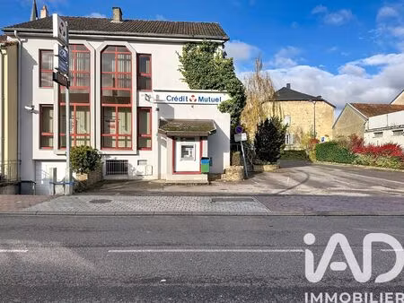 vente immeuble 665 m² farébersviller (57450)