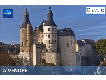 terrain centre-ville montbeliard 507 m2