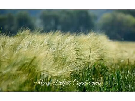 vente maison 10000 m² claira (66530)