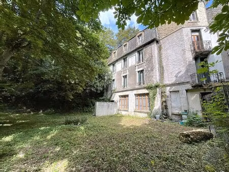 vente maison 16 pièces saint-nectaire (63710)