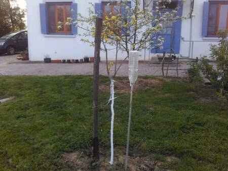 propriétaire particulier