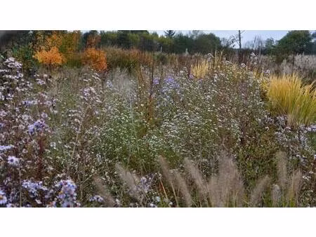 terrain constructible 1689 m2 - la londe (76500)