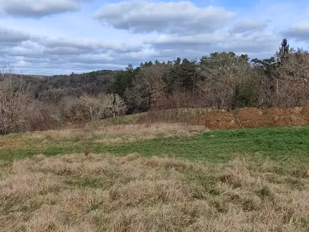 vente terrain 927 m² à montignac (24290)  28 000 €