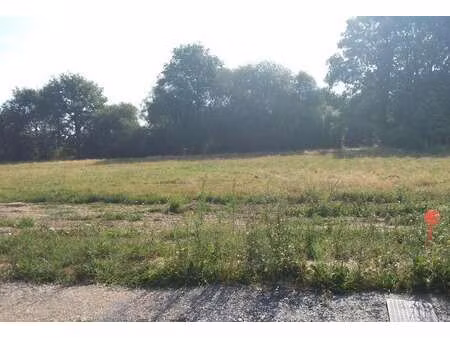 vente terrain à orvault (44700) : à vendre / 800m² orvault