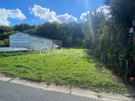 vente terrain 1007 m² à chançay (37210)  65 000 €