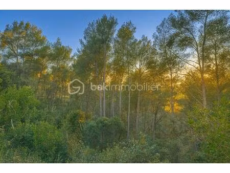 terrain de loisirs de 5 600 m² à la cadiere-d'azur