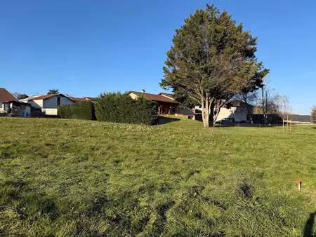 vente terrain 1462 m² à montluel (01120)  219 000 €