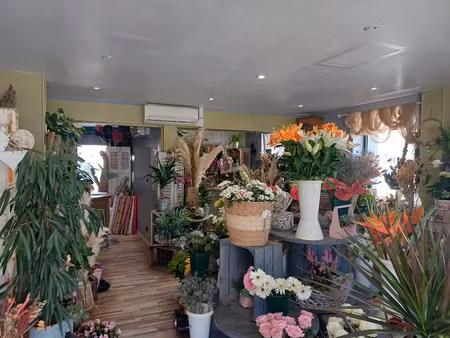 vente locaux professionnels 40 m² à les grandes-ventes (76950)  34 000 €