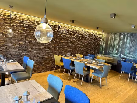 vente locaux professionnels 255 m² à hauteluce (73620)  60 000 €