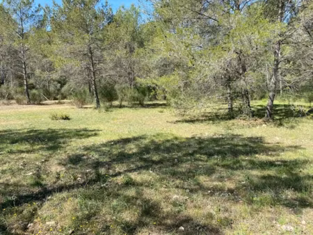 vente terrain 2000 m² à méounes-lès-montrieux (83136)  185 000 €