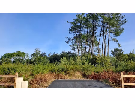 vente terrain 1111 m² à moliets-et-maa (40660)  336 000 €