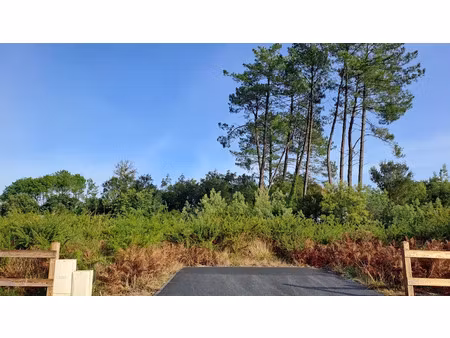 vente terrain 1111 m² à moliets-et-maa (40660)  379 000 €