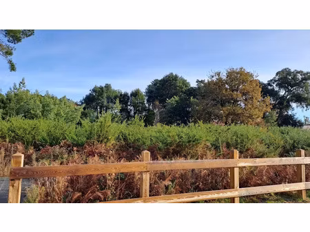 vente terrain 1359 m² à moliets-et-maa (40660)  394 000 €
