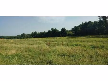 terrain constructible viabilisé à vendre