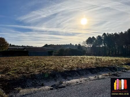 terrain en lotissement