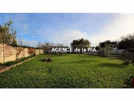 terrain constructible