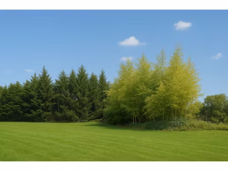 terrain de 300m2 pour maison de 75m2 lentilly