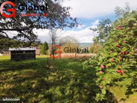 terrain 1 186 m² dieffenbach au val