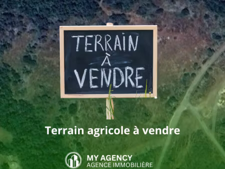 vente terrain 60000 m² caux (34720)