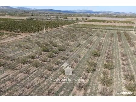 terrain agricole 12 550 m² espira de l agly