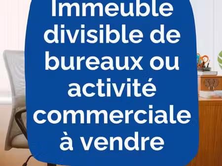 immeuble bureaux et local commercial centre ville pour inv