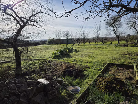 terrain libre de constructeur